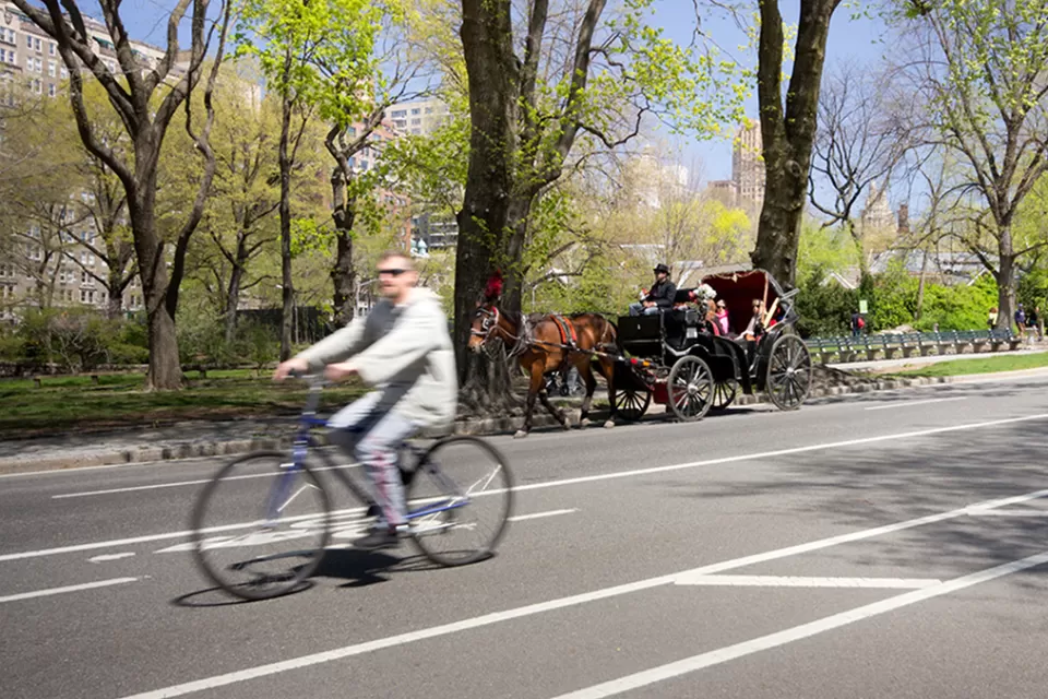New York Bike Lane